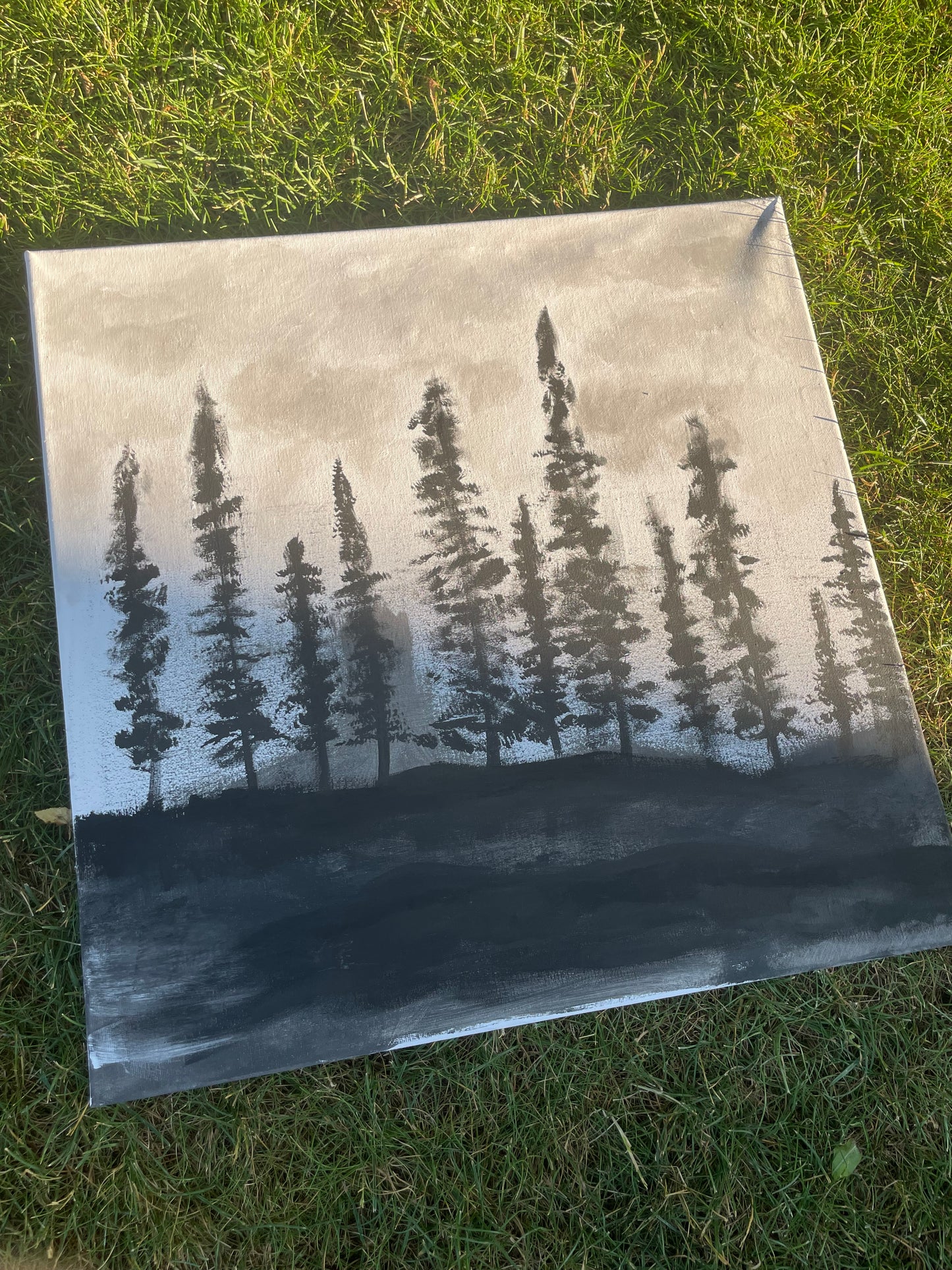Maľované obrazy 50x50cm